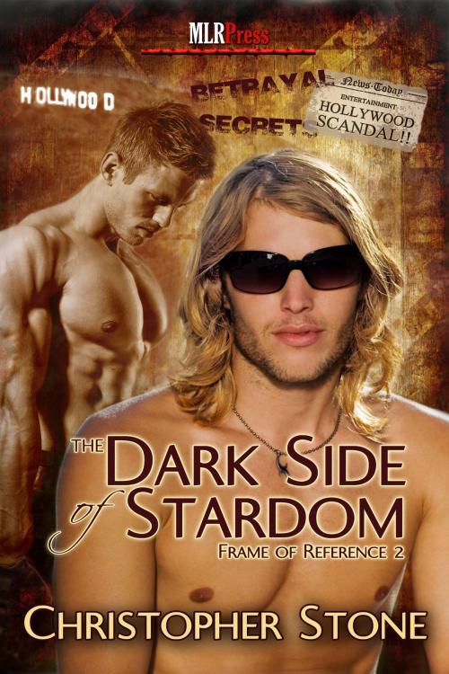 Cover of the book The Dark Side of Stardom by Christopher Stone, MLR Press