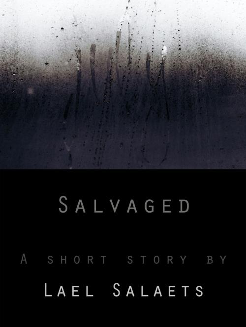 Cover of the book Salvaged by Lael Salaets, Lael Salaets