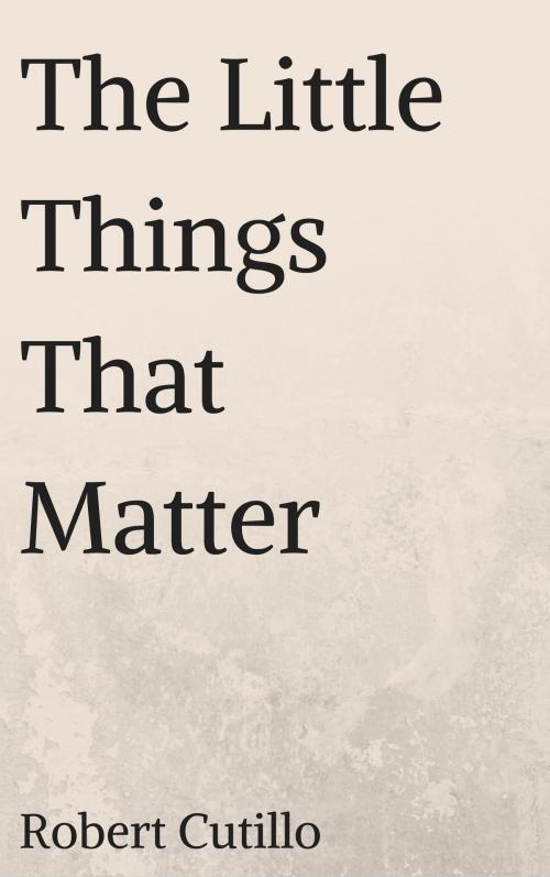 Cover of the book The Little Things That Matter by Robert Cutillo, Robert Cutillo