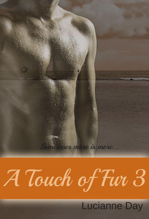 Cover of the book A Touch of Fur 3 by Lucianne Day, Lucianne Day