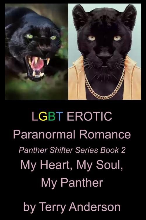 Cover of the book LGBT Erotic Paranormal Romance My Heart, My Soul, My Panther (Panther Shifter Series Book 2) by Terry Anderson, John Waaser