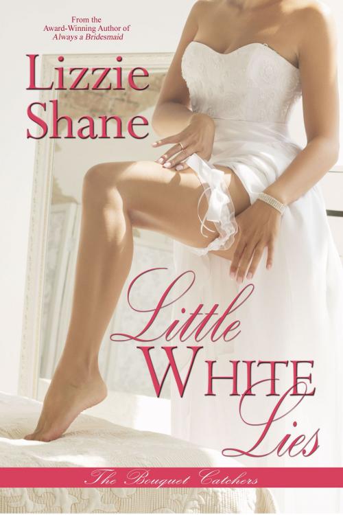 Cover of the book Little White Lies by Lizzie Shane, Lizzie Shane