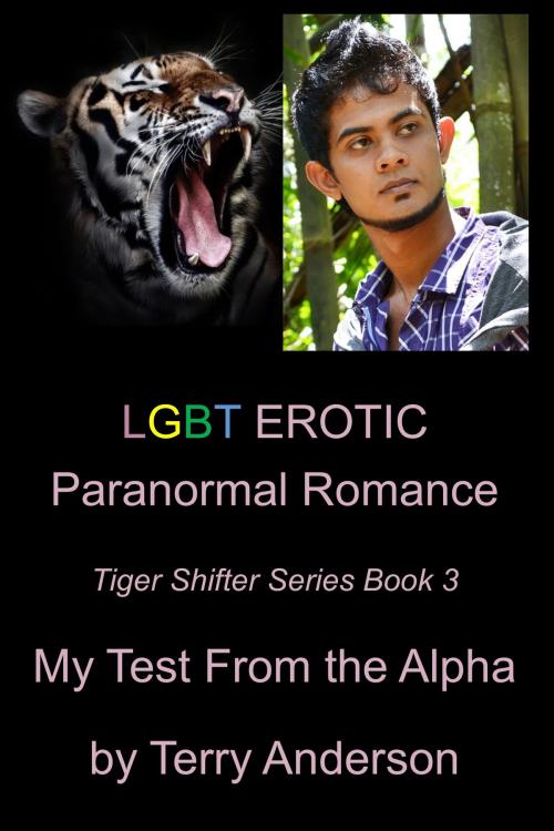 Cover of the book LGBT Erotic Paranormal Romance My Test From The Alpha (Tiger Shifter Series Book 3) by Terry Anderson, John Waaser