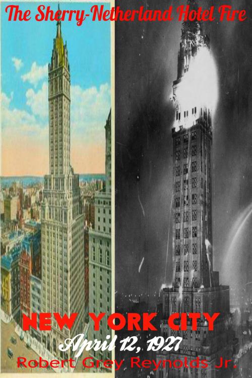 Cover of the book The Sherry-Netherland Hotel Fire New York City April 12, 1927 by Robert Grey Reynolds Jr, Robert Grey Reynolds, Jr