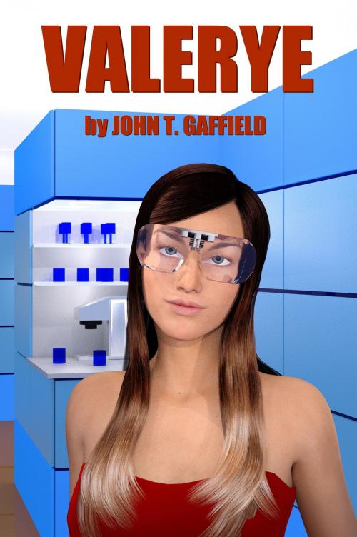Cover of the book Valerye by John Gaffield, John Gaffield