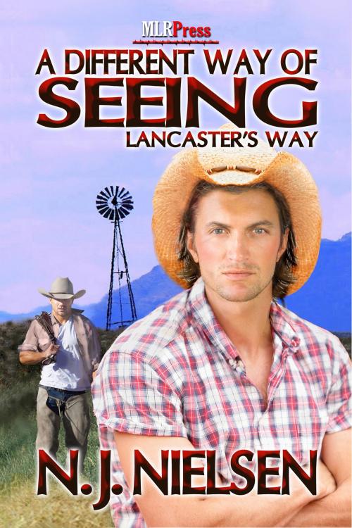 Cover of the book A Different Way of Seeing by N.J. Nielsen, MLR Press
