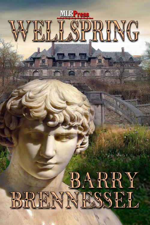 Cover of the book Wellspring by Barry Brennessel, MLR Press