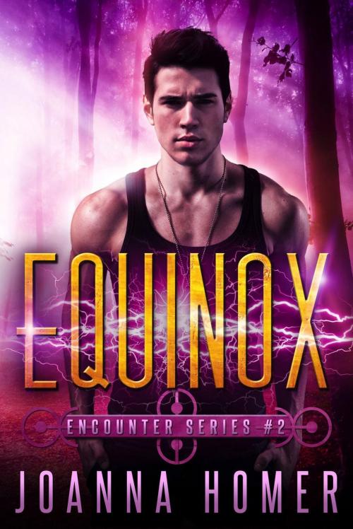 Cover of the book Equinox by Joanna Homer, Joanna Homer