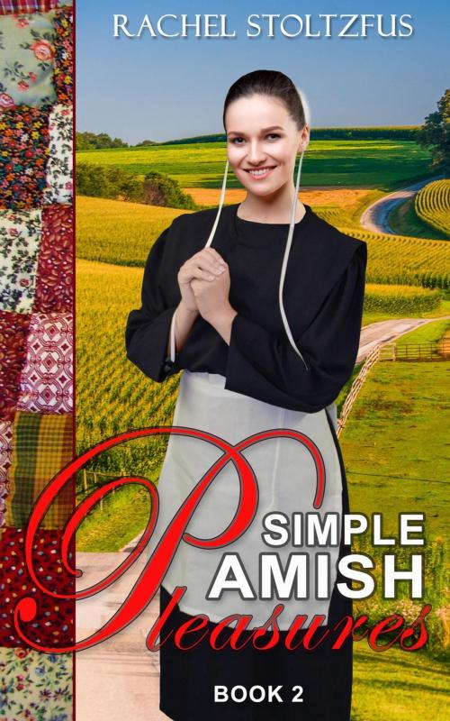 Cover of the book Simple Amish Pleasures by Rachel Stoltzfus, Global Grafx Press