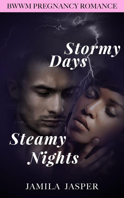 Cover of the book Stormy Days, Steamy Nights: BWWM Romance Novel by Jamila Jasper, Jamila Jasper