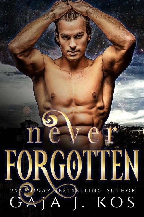 Cover of the book Never Forgotten: A Sander novella by Gaja J. Kos, Boris Kos