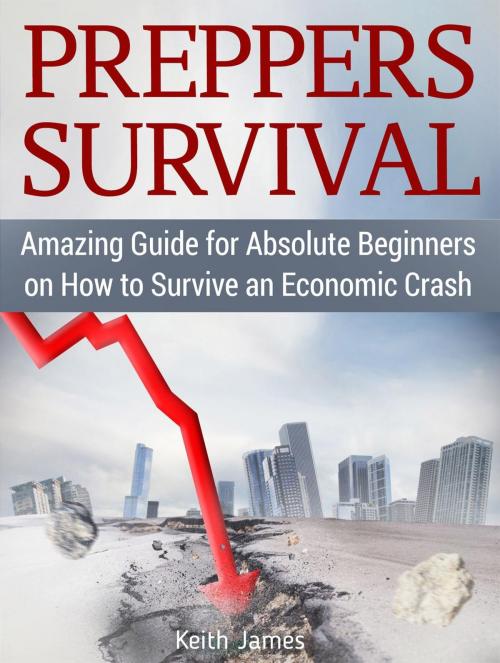 Cover of the book Preppers Survival: Amazing Guide for Absolute Beginners on How to Survive an Economic Crash by Keith James, JVzon Studio