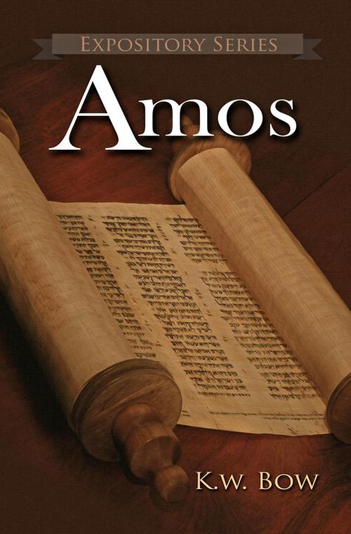 Cover of the book Amos by kenneth bow, kenneth bow
