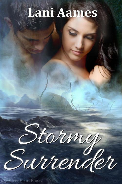 Cover of the book Stormy Surrender by Lani Aames, Silver Heart Books