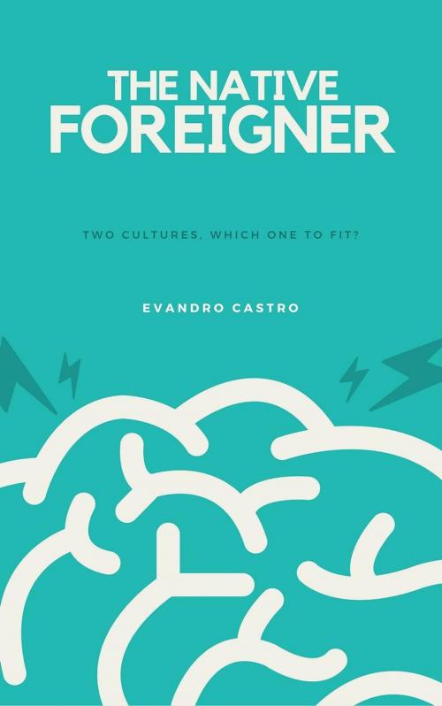 Cover of the book The Native Foreigner - part 1 by Evandro Castro, Evandro Castro
