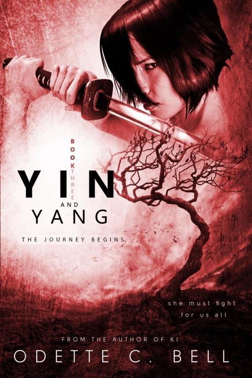Cover of the book Yin and Yang: The Journey Begins by Odette C. Bell, Odette C. Bell
