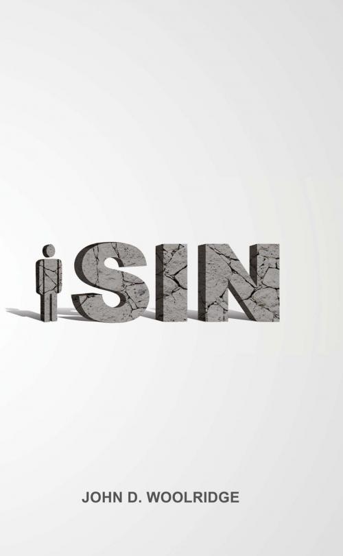 Cover of the book iSin by John D. Woolridge, New Harbor Press