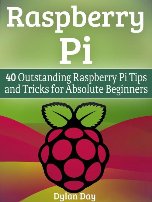 Cover of the book Raspberry Pi: 40 Outstanding Raspberry Pi Tips and Tricks for Absolute Beginners by Dylan Day, JVzon Studio