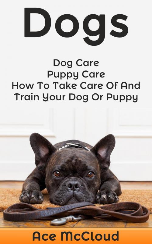 Cover of the book Dogs: Dog Care: Puppy Care: How To Take Care Of And Train Your Dog Or Puppy by Ace McCloud, Ace McCloud