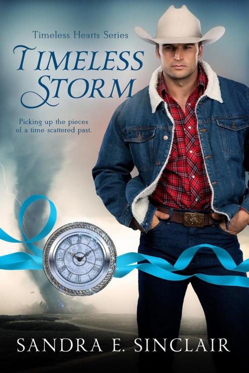 Cover of the book Timeless Storm by Sandra E Sinclair, Sandra E Sinclair