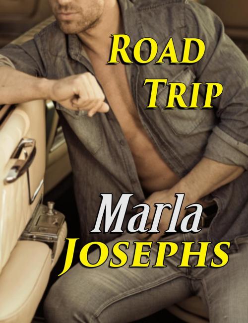 Cover of the book Road Trip by Marla Josephs, Marla Josephs