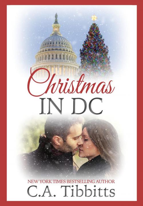 Cover of the book Christmas In D.C. by C.A. Tibbitts, C.A. Tibbitts