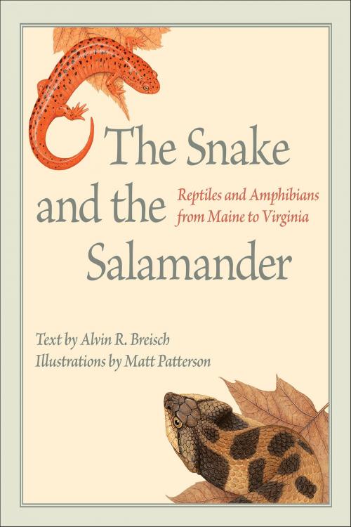 Cover of the book The Snake and the Salamander by Alvin R. Breisch, Johns Hopkins University Press