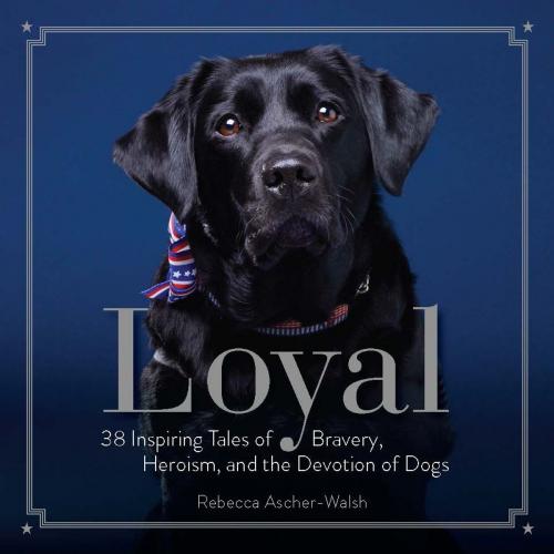 Cover of the book Loyal by Rebecca Ascher-Walsh, National Geographic Society