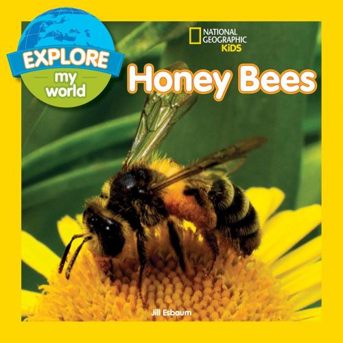 Cover of the book Explore My World: Honey Bees by Jill Esbaum, National Geographic Society