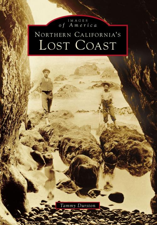 Cover of the book Northern California's Lost Coast by Tammy Durston, Arcadia Publishing Inc.