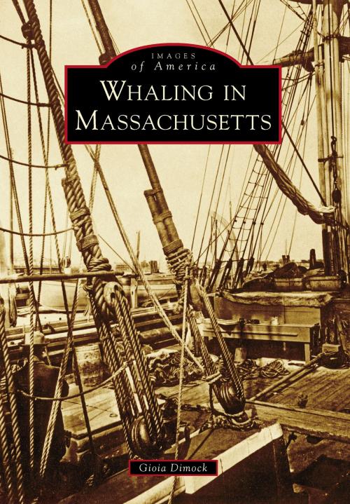 Cover of the book Whaling in Massachusetts by Gioia Dimock, Arcadia Publishing Inc.