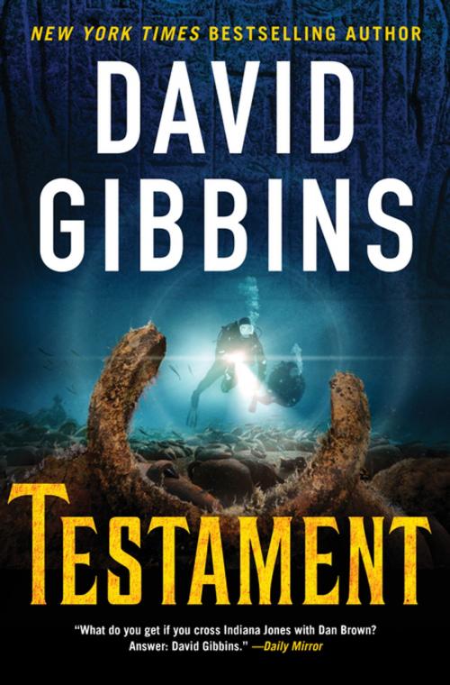Cover of the book Testament by David Gibbins, St. Martin's Press