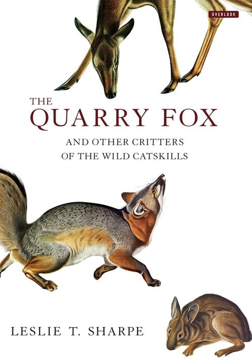 Cover of the book The Quarry Fox by Leslie T. Sharpe, ABRAMS