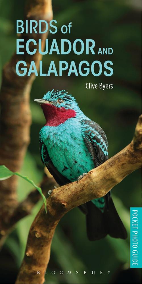 Cover of the book Birds of Ecuador and Galapagos by Clive Byers, Bloomsbury Publishing