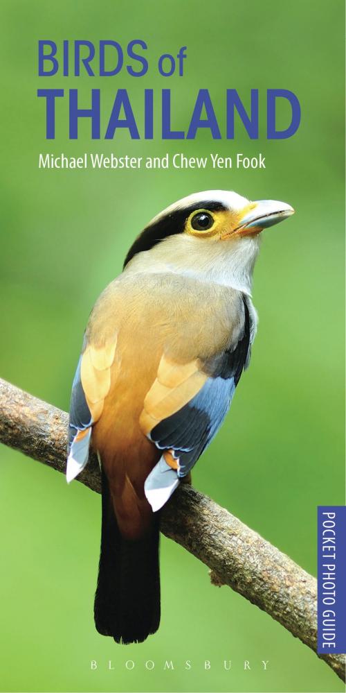 Cover of the book Birds of Thailand by Michael Webster, Bloomsbury Publishing