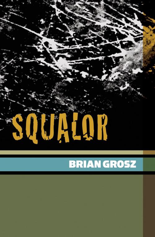 Cover of the book Squalor by Brian Grosz, BookBaby