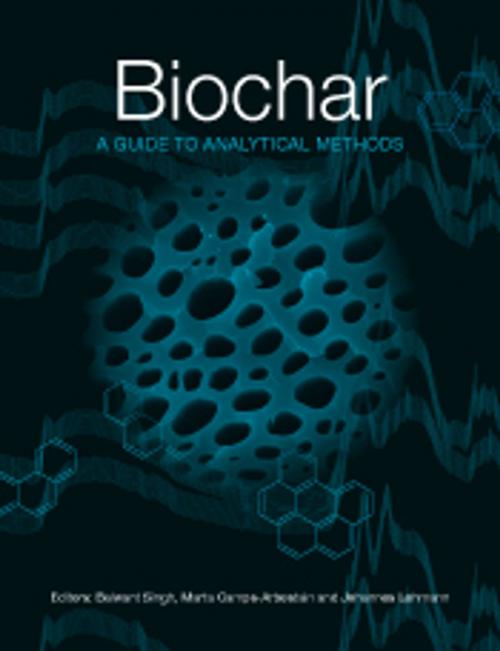 Cover of the book Biochar by , CSIRO PUBLISHING