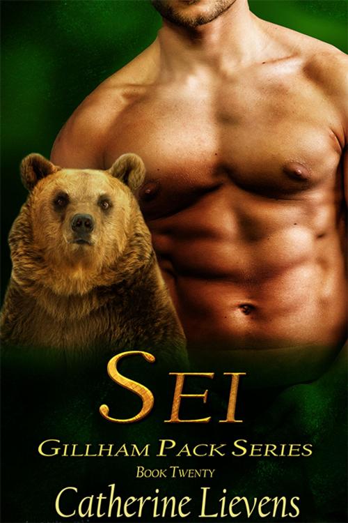 Cover of the book Sei by Catherine Lievens, eXtasy Books Inc