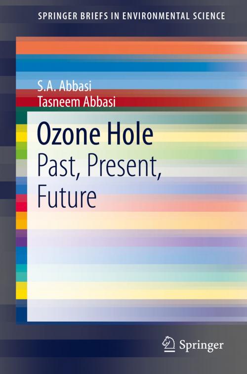 Cover of the book Ozone Hole by S.A. Abbasi, Tasneem Abbasi, Springer New York