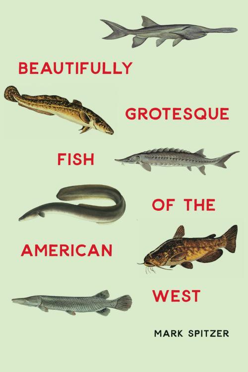 Cover of the book Beautifully Grotesque Fish of the American West by Mark Spitzer, UNP - Bison Books
