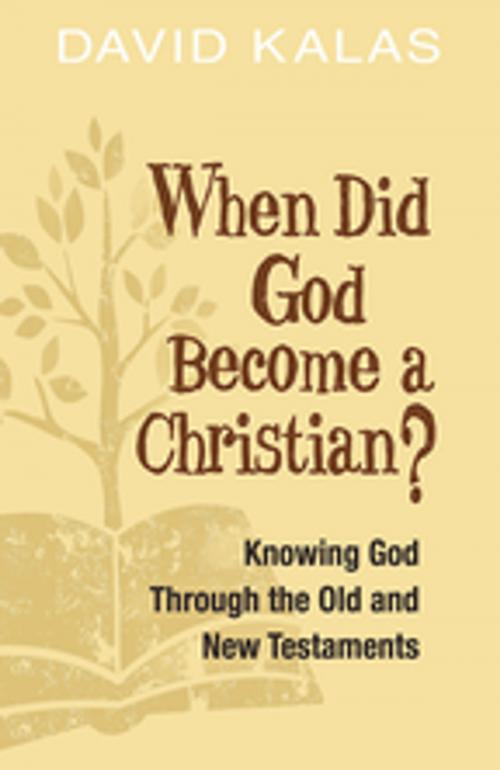 Cover of the book When Did God Become a Christian? by David Kalas, Abingdon Press
