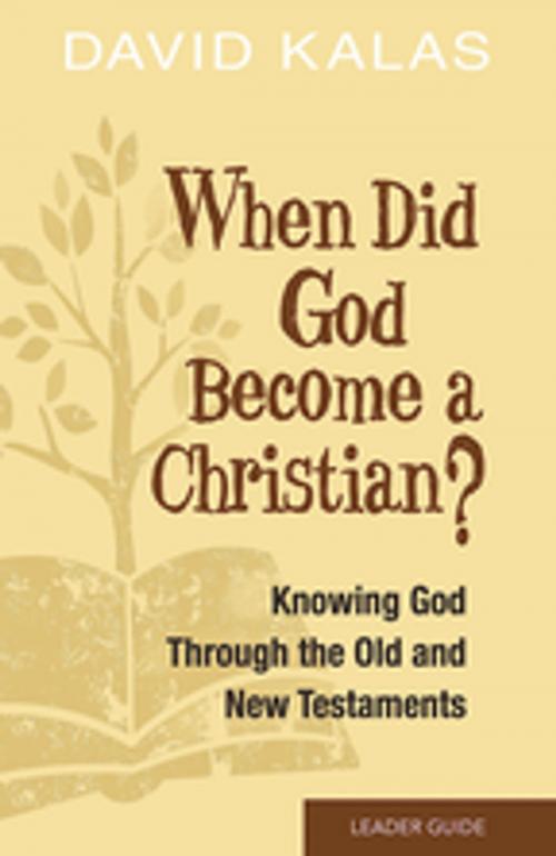 Cover of the book When Did God Become a Christian? Leader Guide by David Kalas, Abingdon Press