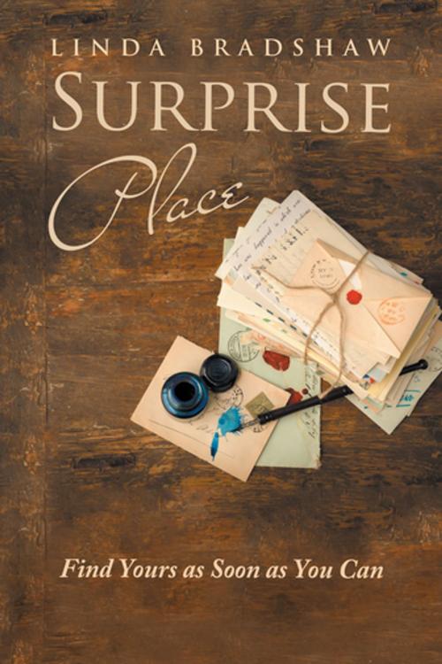 Cover of the book Surprise Place by Linda Bradshaw, Balboa Press AU