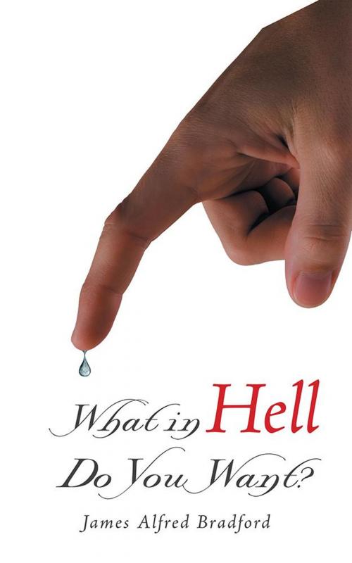 Cover of the book What in Hell Do You Want? by James Alfred Bradford, Balboa Press