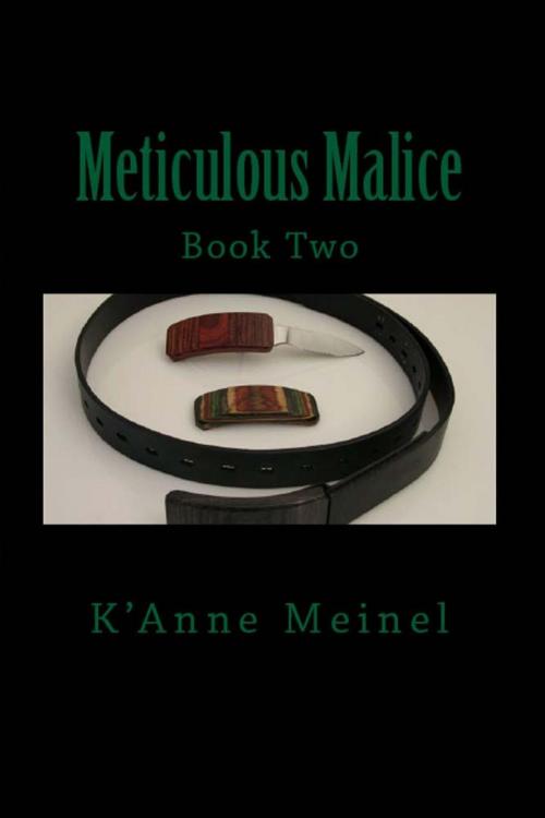 Cover of the book Meticulous Malice by K'Anne Meinel, Shadoe Publishing