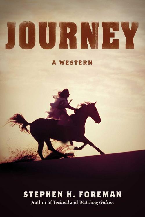 Cover of the book Journey by Stephen H. Foreman, Skyhorse