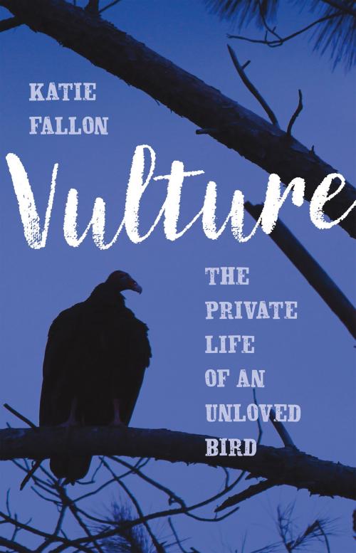 Cover of the book Vulture by Katie Fallon, University Press of New England