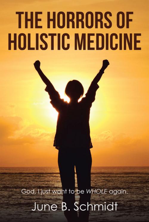 Cover of the book The Horrors of Holistic Medicine by June B. Schmidt, WestBow Press