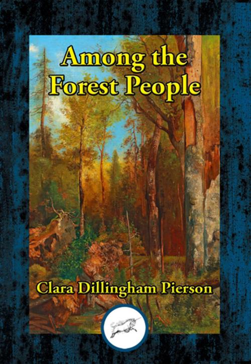 Cover of the book Among the Forest People by Clara Dillingham Pierson, Dancing Unicorn Books