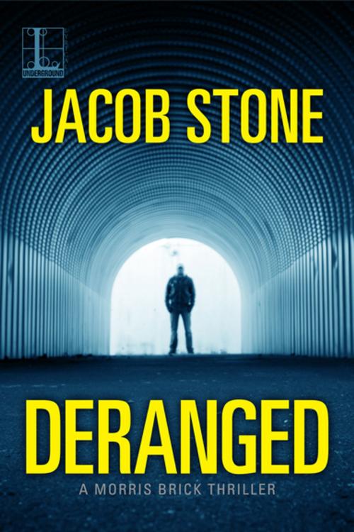 Cover of the book Deranged by Jacob Stone, Lyrical Press